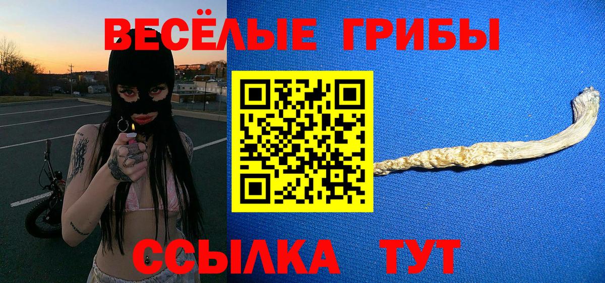 Псилоцибиновые грибы мицелий  Вход с VPN  Магадан 