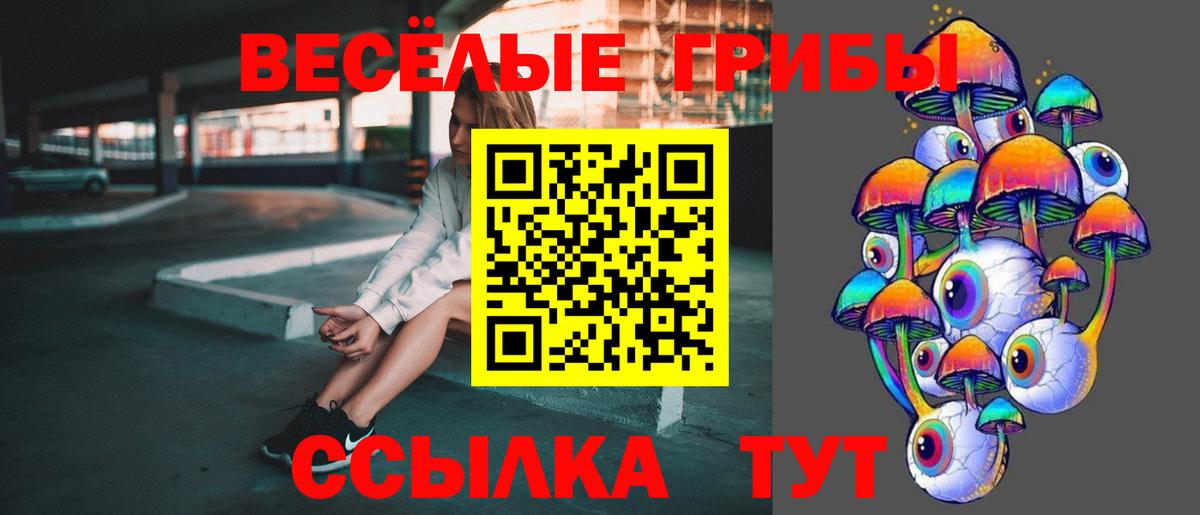 Галлюциногенные грибы Psilocybe Магадан